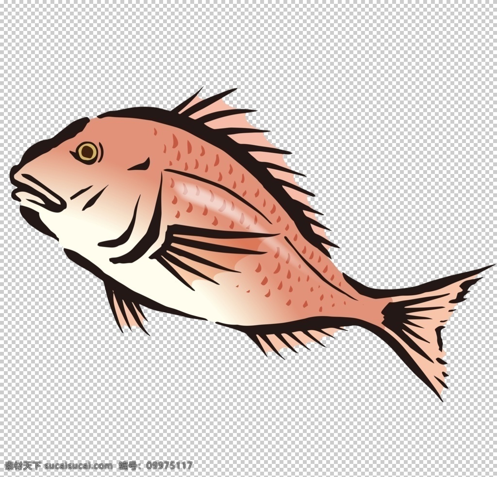 水彩 绘画 海鱼 鱼类 海产 图案 鱼 海鲜 海洋生物 水产 食物 手绘 颜料 小清新 包装图案 卡通 生物世界