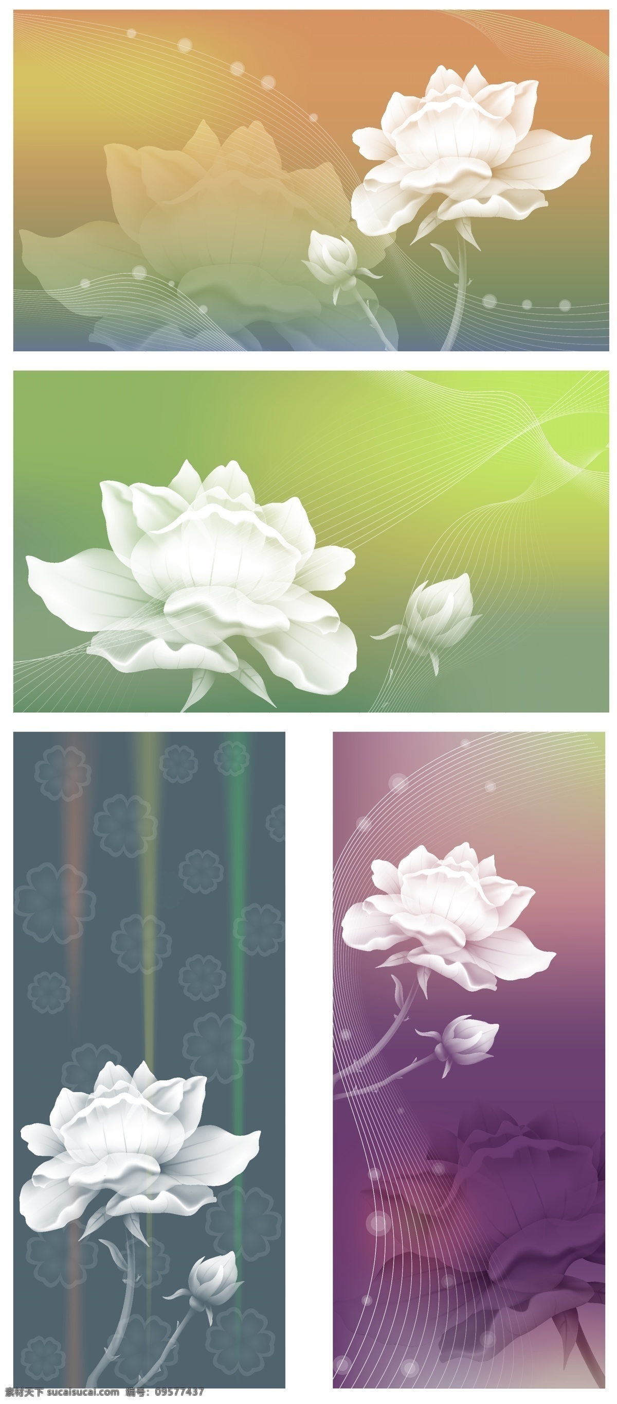 精致 白 玫瑰 梦幻 背景 web 白玫瑰 插画 创意 高分辨率 花 花卉背景 幻想 接口 病 媒 生物 时尚 免费 独特的 原始的 高质量 图形 质量 新鲜的 设计新的 ui元素 hd 元素 详细的 摘要 浪漫的 软 线 优雅的 人工智能设置 psd源文件
