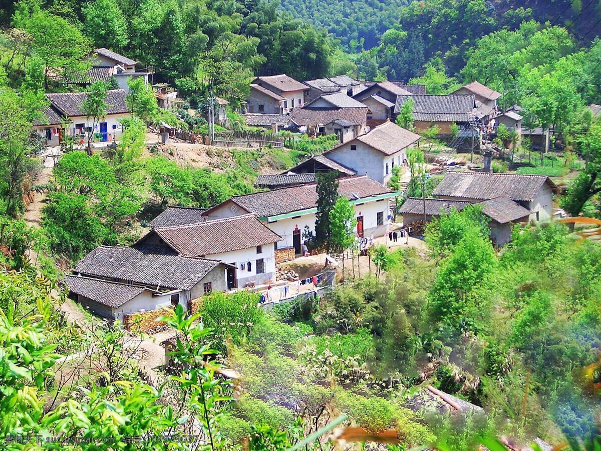 山村 人家 青山 绿 树林 瓦房 砖石 青草 风景 生活 旅游餐饮