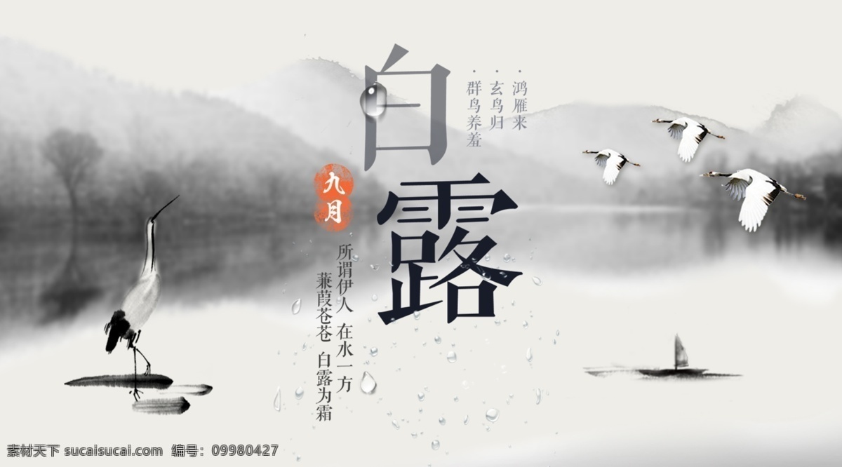 白露 二十四节气图 24节气图 24节气 节气歌 立春 雨水 惊蛰 春分 清明 谷雨 立夏 小满 芒种 夏至 小暑大暑 立秋 处暑 秋分 寒露 霜降 立冬 小雪 大雪 冬至 小寒 大寒 日历挂画 传统文化 文化 节气 节气文化 中国传统文化 24节气文化 二十四节气 海报