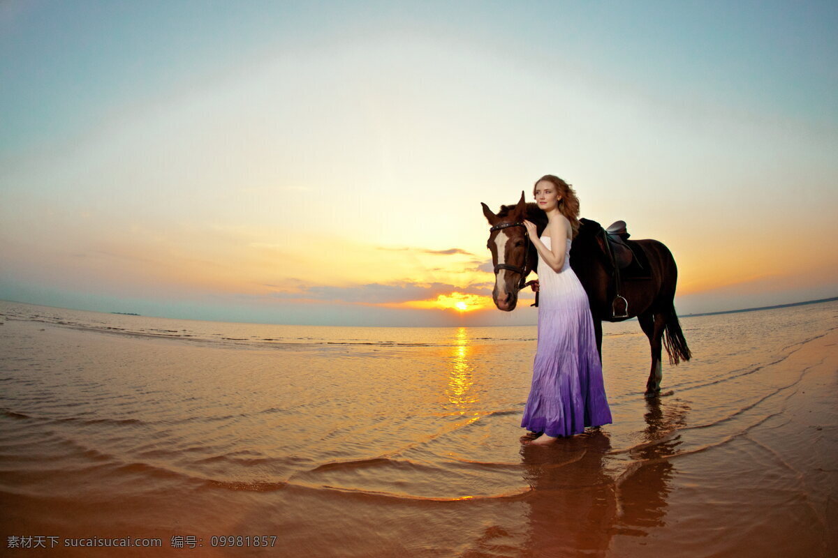 海边美女写真 海边美女 写真 海边 美女 骏马 马匹