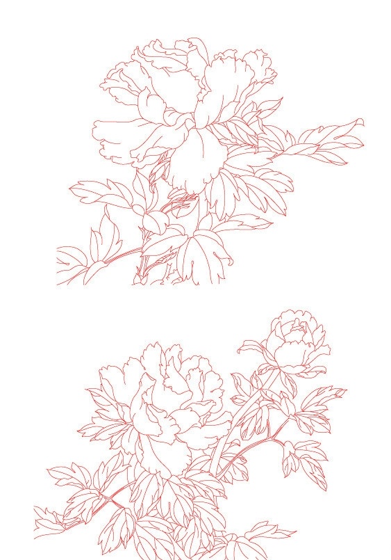 牡丹线条 牡丹 线条 花纹 矢量 其他设计