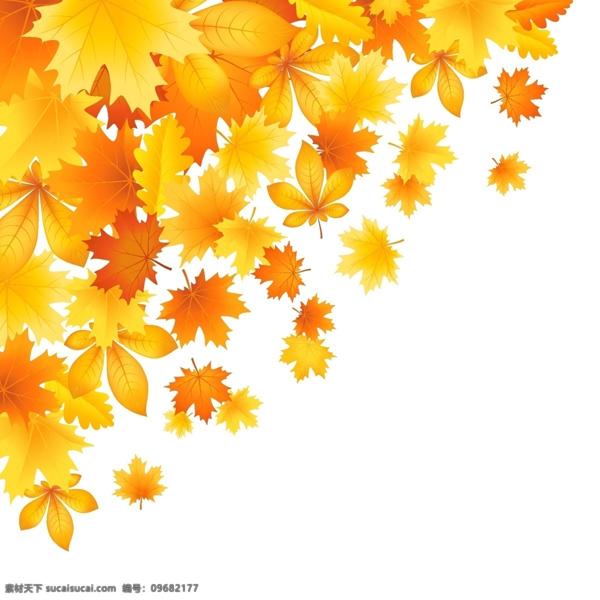 美丽 秋天 树叶 矢量 秋天的落叶 矢量植物 离开 psd秋天 矢量图 其他矢量图