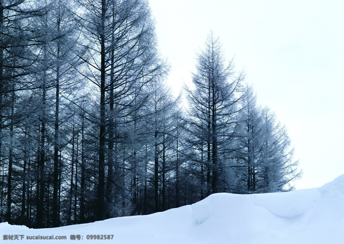 冬天 雪景 白雪 背景 冬天雪景 风光 风景 季节 摄影图库 自然 自然景观 自然风景 生活 旅游餐饮