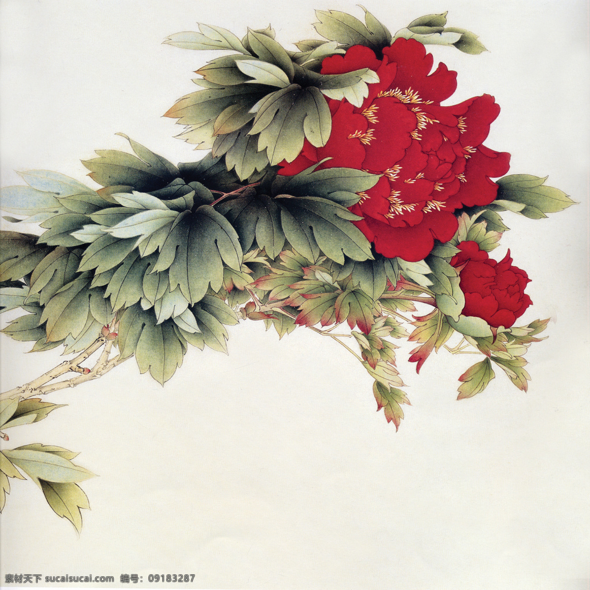 国画 红色 牡丹 植物 中国画 水墨画 书画文字 文化艺术