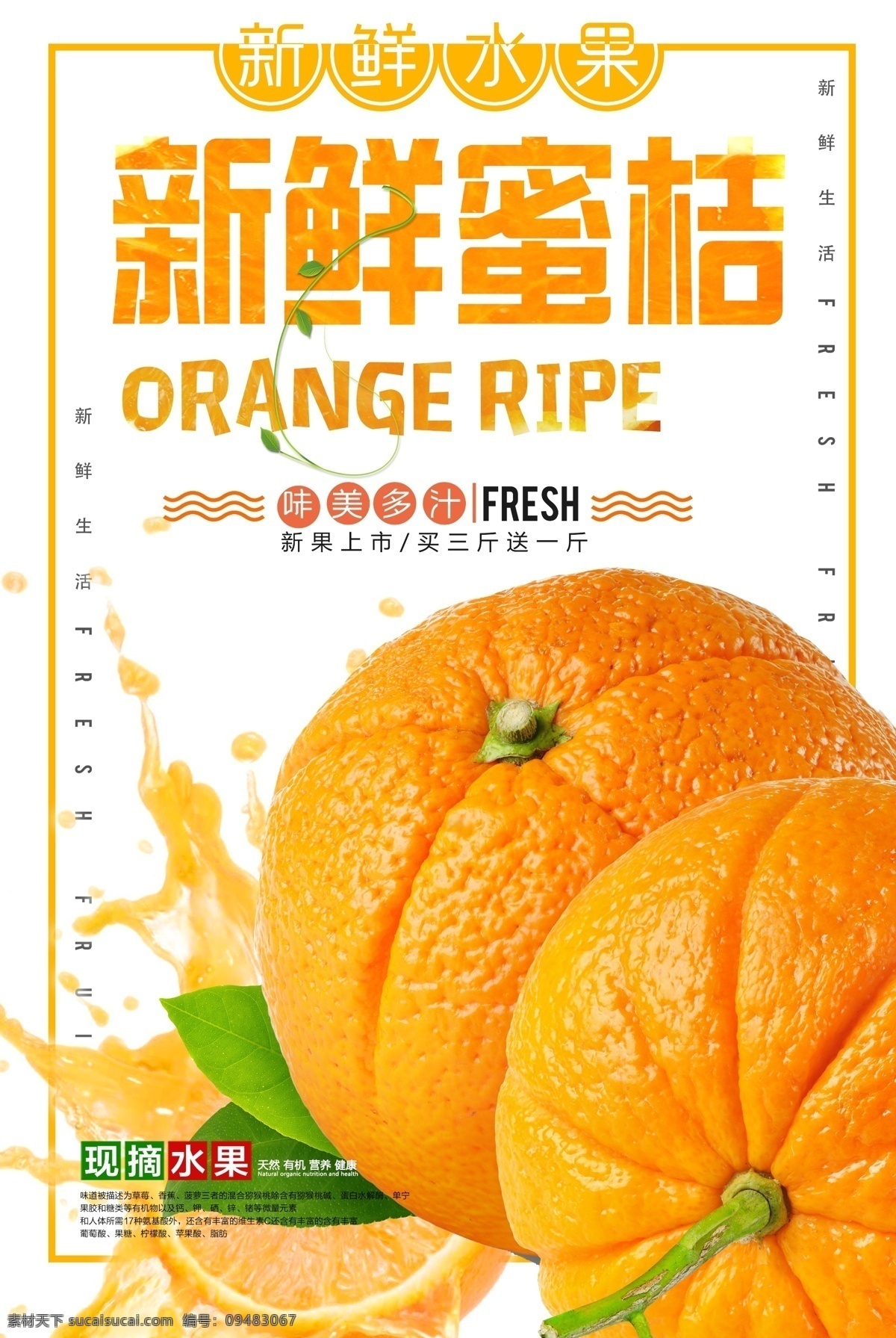 清新 新鲜 砂糖 橘 海报 橘子 柠檬 砂糖橘 芦橘 金丸 罐头 桔子橘子 柑 桔橙 蜜桔 美味蜜桔 桔梗 橘皮 桔皮 芦柑 红桔 金桔 贡桔 水果 新鲜水果