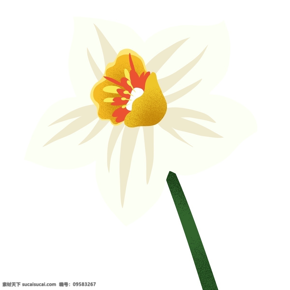 卡通 手绘 白莲花 元素 白色 植物 鲜花 花卉 插画