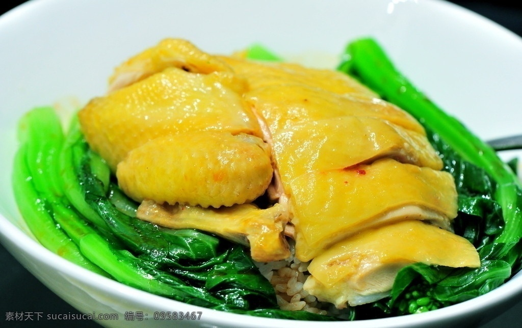 蒸鸡饭 鸡肉 清淡 蔬菜 鲜嫩 三黄鸡 白斩鸡 清蒸 烧鸡 绿叶菜 健康 中国菜 中餐 传统美食 盖浇饭 盖饭 各类 传统 家常菜 美食 小吃 餐饮美食