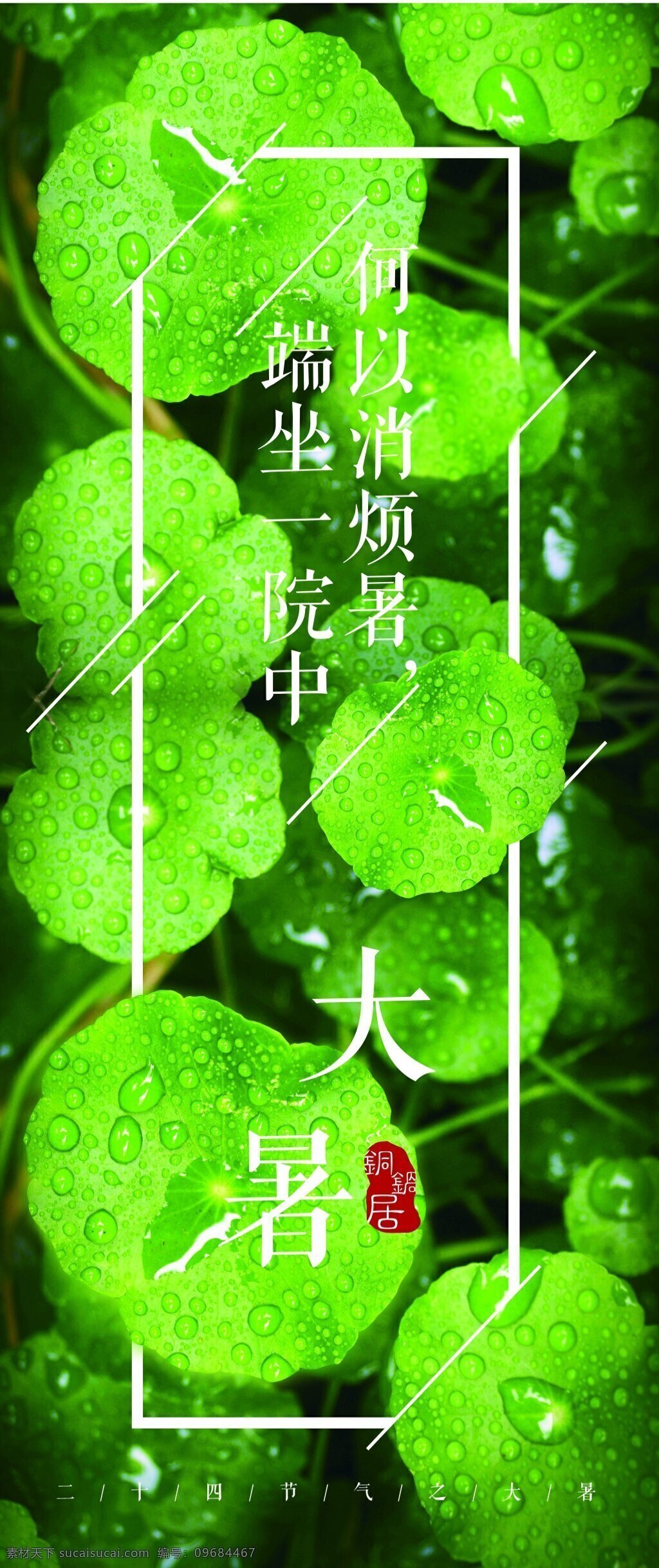 大暑 清新 节气 喷绘 模板 海报 简约 绿色 展架 植物 自然