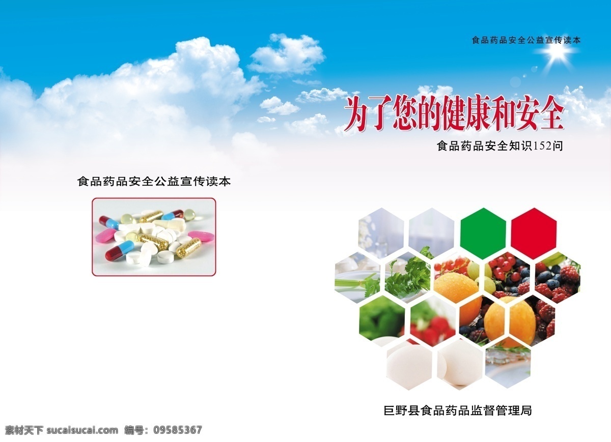 各种蔬菜 广告设计模板 画册设计 源文件 为了 健康 安全 模板下载 蔬菜封皮 其他画册封面