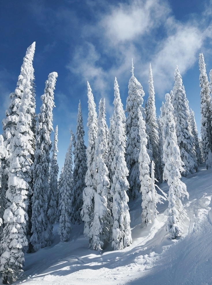 雪景图片 自然风景 雪景 雪景壁纸 雪景风景 山水风景 大自然风景 风景 风景图片 风景壁纸 唯美风景 唯美图片 唯美壁纸 电脑壁纸 蓝天 山脉风景 植物图片 蓝天白云 树木 树干 雪景图 雪地 雪 马路 冬季 美景 美景图片 美景壁纸 雪山 自然风光 雪松 雪松路 雪山风景 自然景观 山脉 风景素材