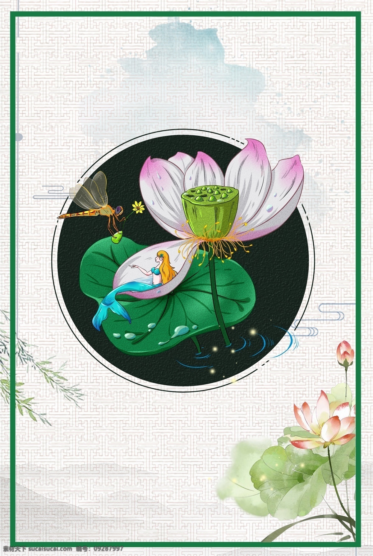 彩色 创意 荷花 白露 背景 植物 自然 环境 花朵 淡雅 边框