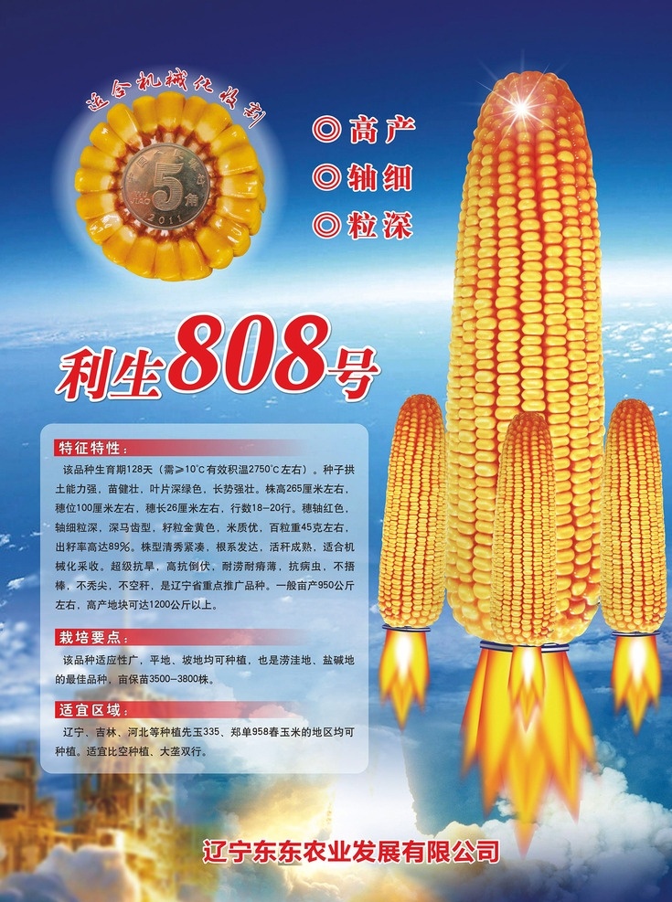 玉米海报 玉米 玉米棒 玉米串 玉米苗 玉米粒 玉米根 玉米广告 玉米宣传 广告设计模板 cdr8