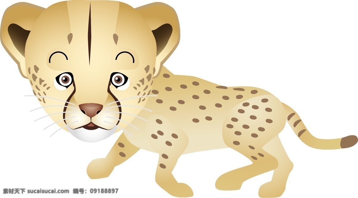 豹3 媒介动物 豹 白色