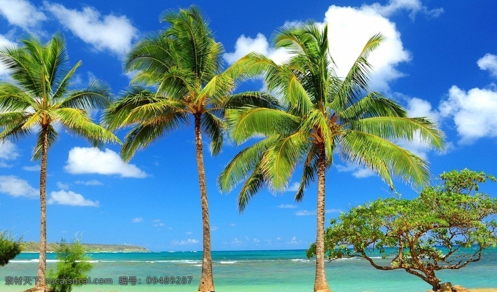 海边风景 自然风景 风景壁纸 海滩 海浪 礁石 椰树 蓝天 白云 海边 风景 系列 二 自然景观