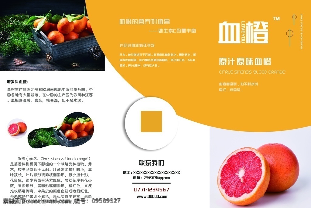水果三折页 橙子 苹果 水果海报 蔬菜 蔬菜三折页 绿色三折页 产品折页 宣传折页 环保三折页 画册封面 环保封面 化学折页 折页设计 折页模板 三折页 产品折页设计 产品三折页 单页折页设计 水果配送 水果宣传 绿色 绿色水果折页 健康 水果 柠檬 健康三折页 平面设计 共享 图