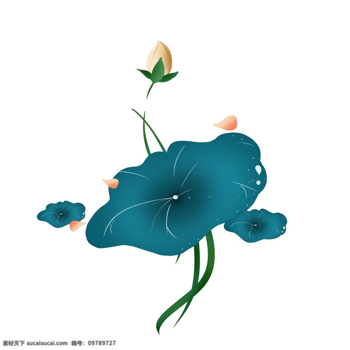 创意 蓝色 荷花 插画 蓝色的荷叶 创意植物插画 唯美的荷花 卡通植物插画 盛开的荷花 荷花插画