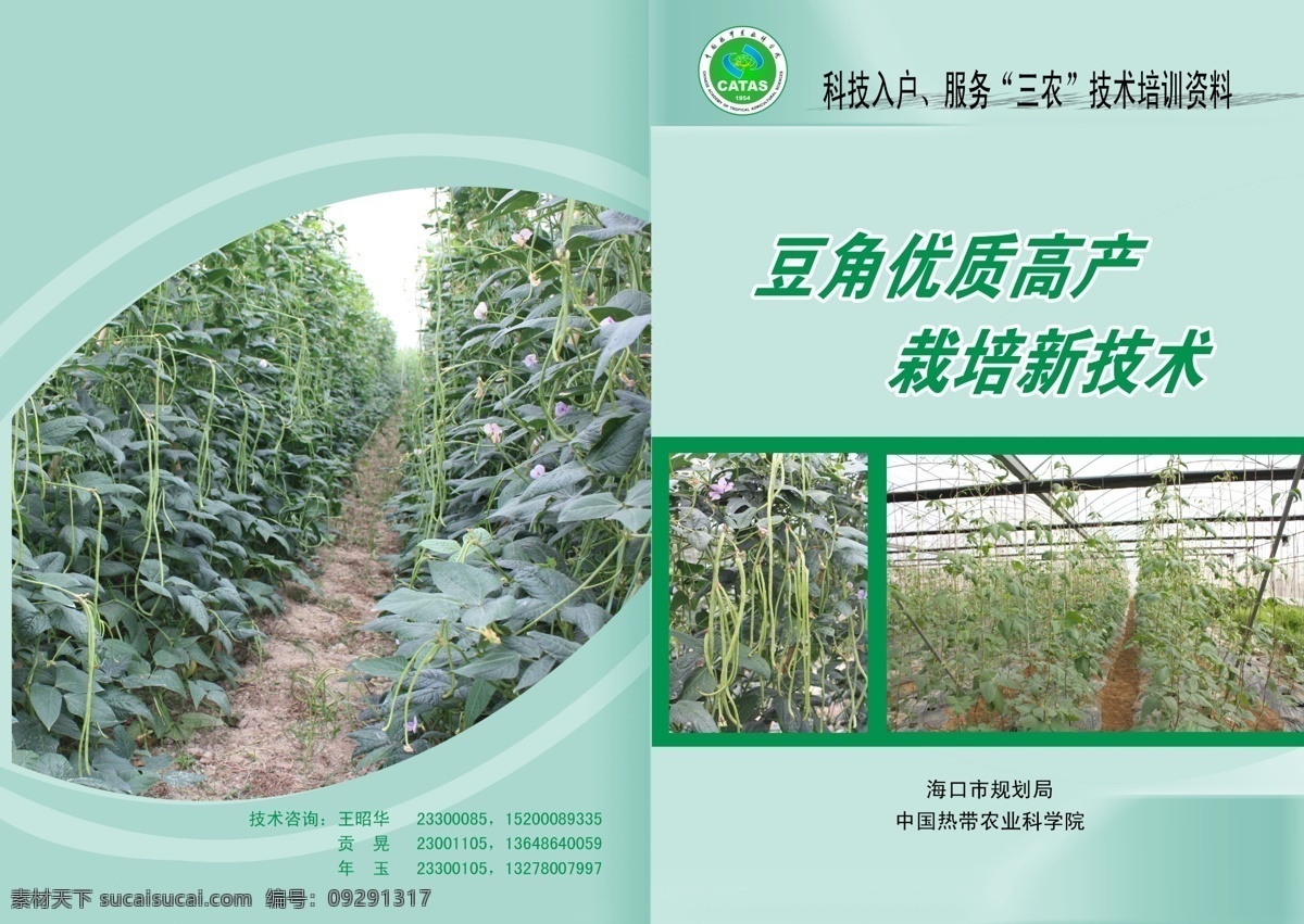 分层 封面设计 广告设计模板 画册设计 书籍封面 书籍封面设计 源文件 豆角 优质 高产栽培 新技术 封面 科技 入户 服务三农 技术培训 资料
