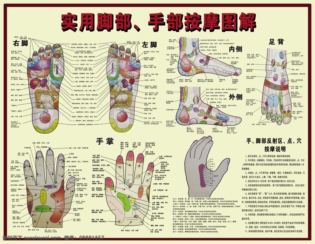 手脚图 足浴图 足疗图 脚的部位 治疗图 脚的反射区 广告设计模板 源文件