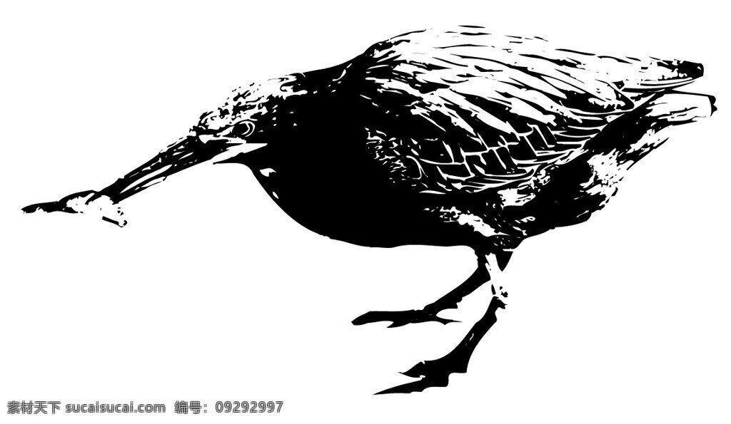 全球 首席 大百科 笔刷 黑白 鸟 水墨 拓印 文化艺术