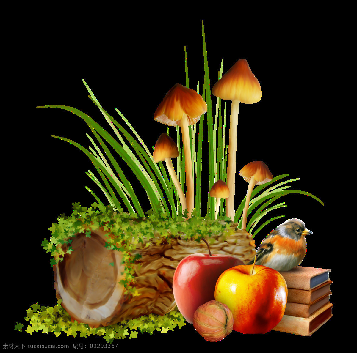 手绘 逼真 水果 蔬菜 油画 透明 绿草 苹果 小鸟 蘑菇 透明素材 免扣素材 装饰图片