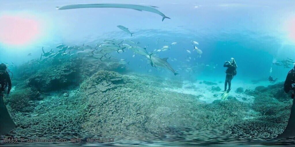 大堡礁 海豚 群 vr 视频 虚拟现实视频 虚拟视频 vr全景 全景视频 vr视频 虚拟实境 实境视频 高清视频 mp4 青色 天蓝色