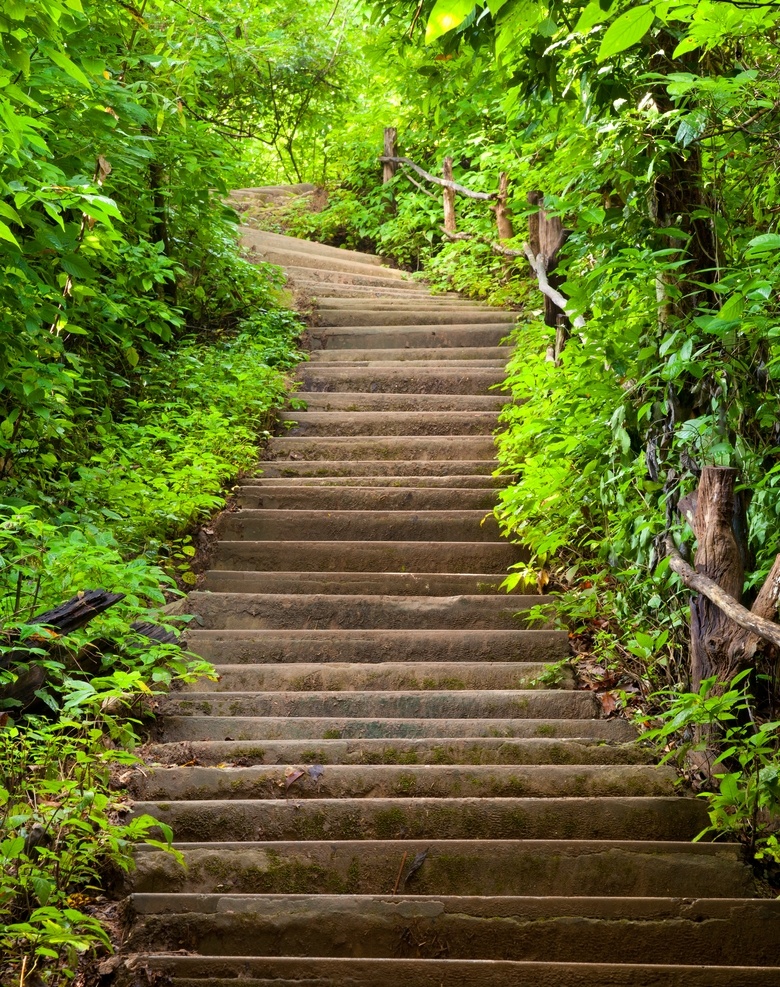 石梯 风景如画 人间仙境 竹报平安 竹林 森林 林荫小路 石板路 小径 竹林小道 竹林小路 小道 林间小路 走廊玄关 入户玄关 中式玄关 玄关装饰画 玄关背景 新中式玄关画 抽象玄关画 简约玄关壁画 走廊玄关画 中堂画 中庭装饰画 玄关背景挂画 现代简约玄关 中式玄关画 创意玄关画 自然景观 自然风景