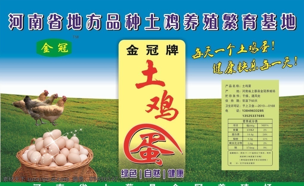 鸡蛋 绿色 土鸡蛋单页 土鸡蛋海报