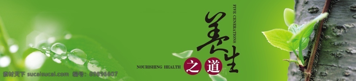 分层 健康 绿色 树 树木 树叶 水滴 养生 养生之道 模板下载 自然 自然养生 源文件 psd源文件 餐饮素材