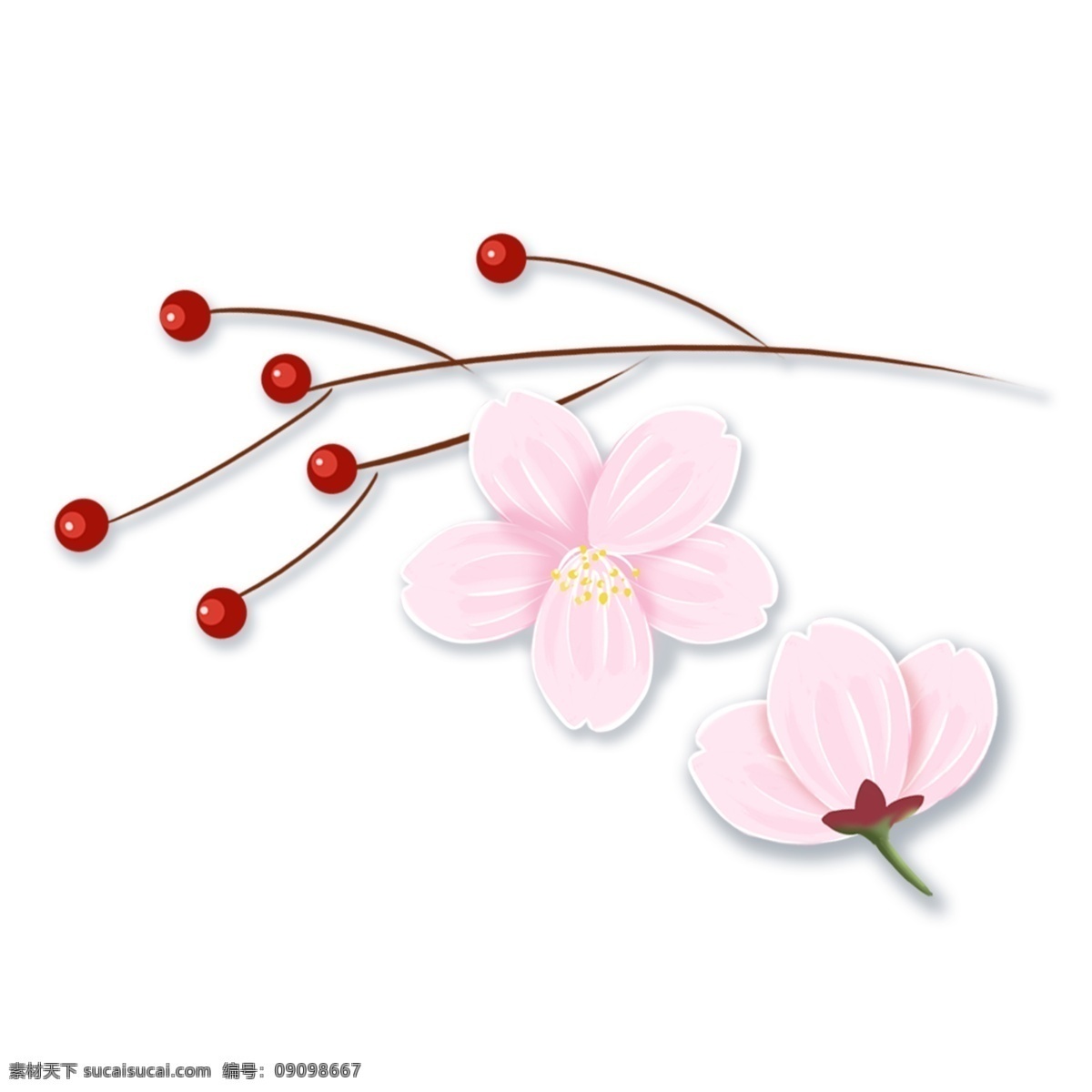 水彩 花卉 透明 装饰 免 扣 花朵 透明素材 卡通素材