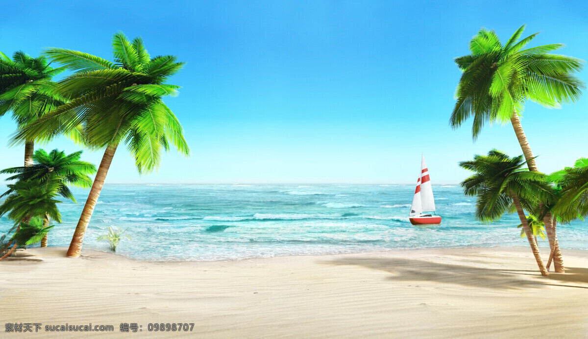 浪漫的海边 背景 大海 夏天 浪漫 海边 贝壳 白色
