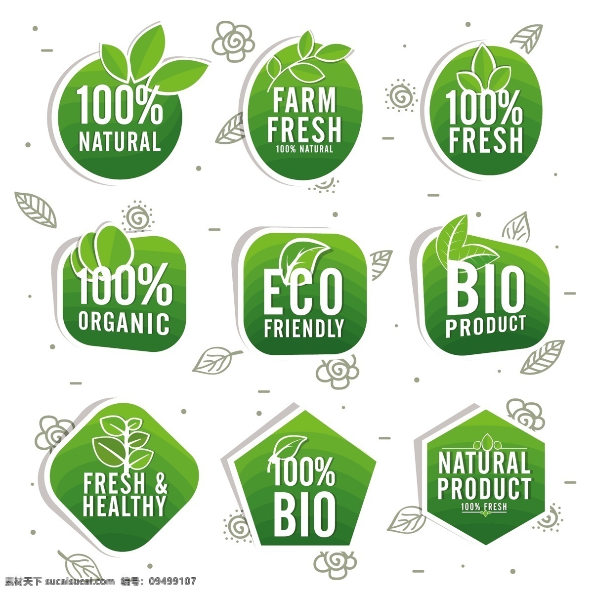 不同 生态 标签 采购产品标签 绿色 自然 农场 树叶 装饰 有机 再循环 环境 贴纸 绿叶