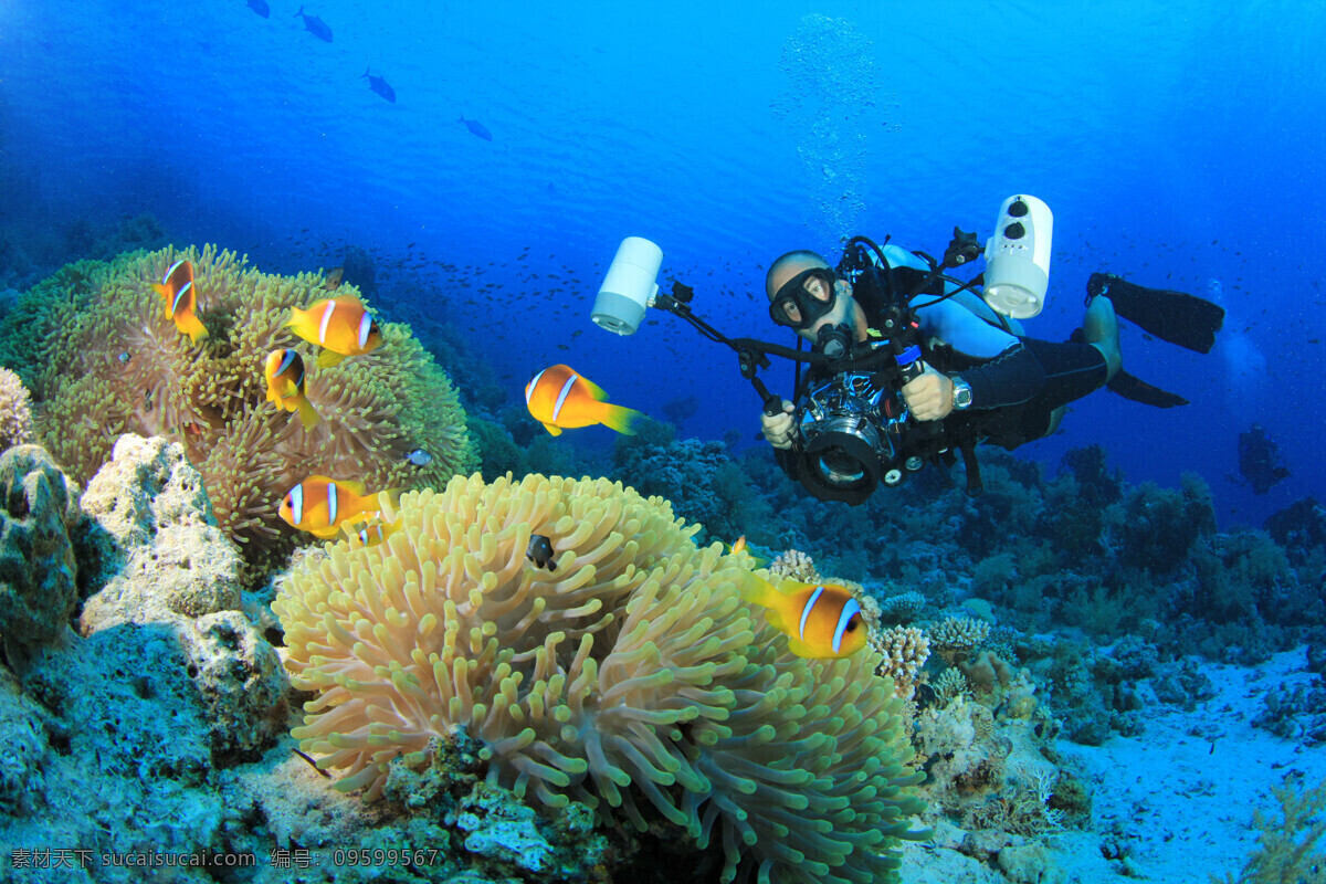 美丽 海洋世界 潜水员 珊瑚 鱼 生活人物 人物图片