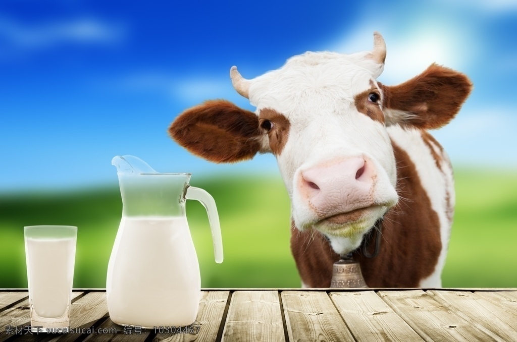 牛奶图片 新鲜牛奶 鲜奶 牛乳 健康乳制饮品 饮料 杯子飞溅 牛奶 餐饮美食