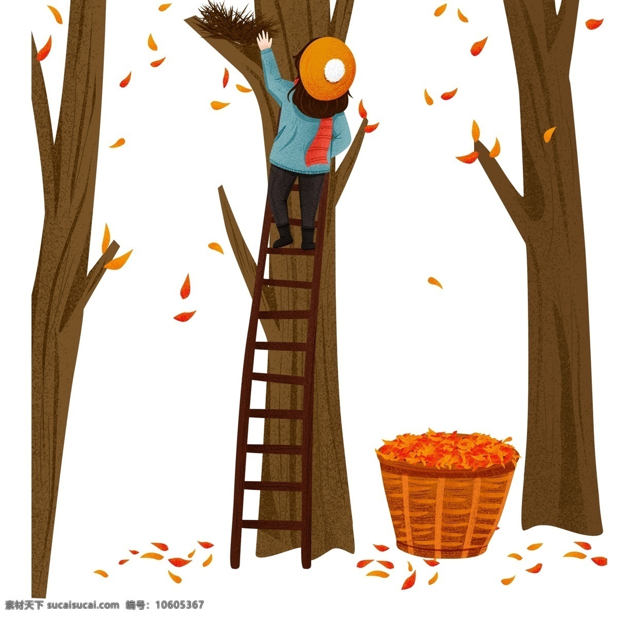卡通 爬 梯子 掏 鸟窝 女孩 插画 树木 树叶 手绘 爬梯子 箩筐 掏鸟窝