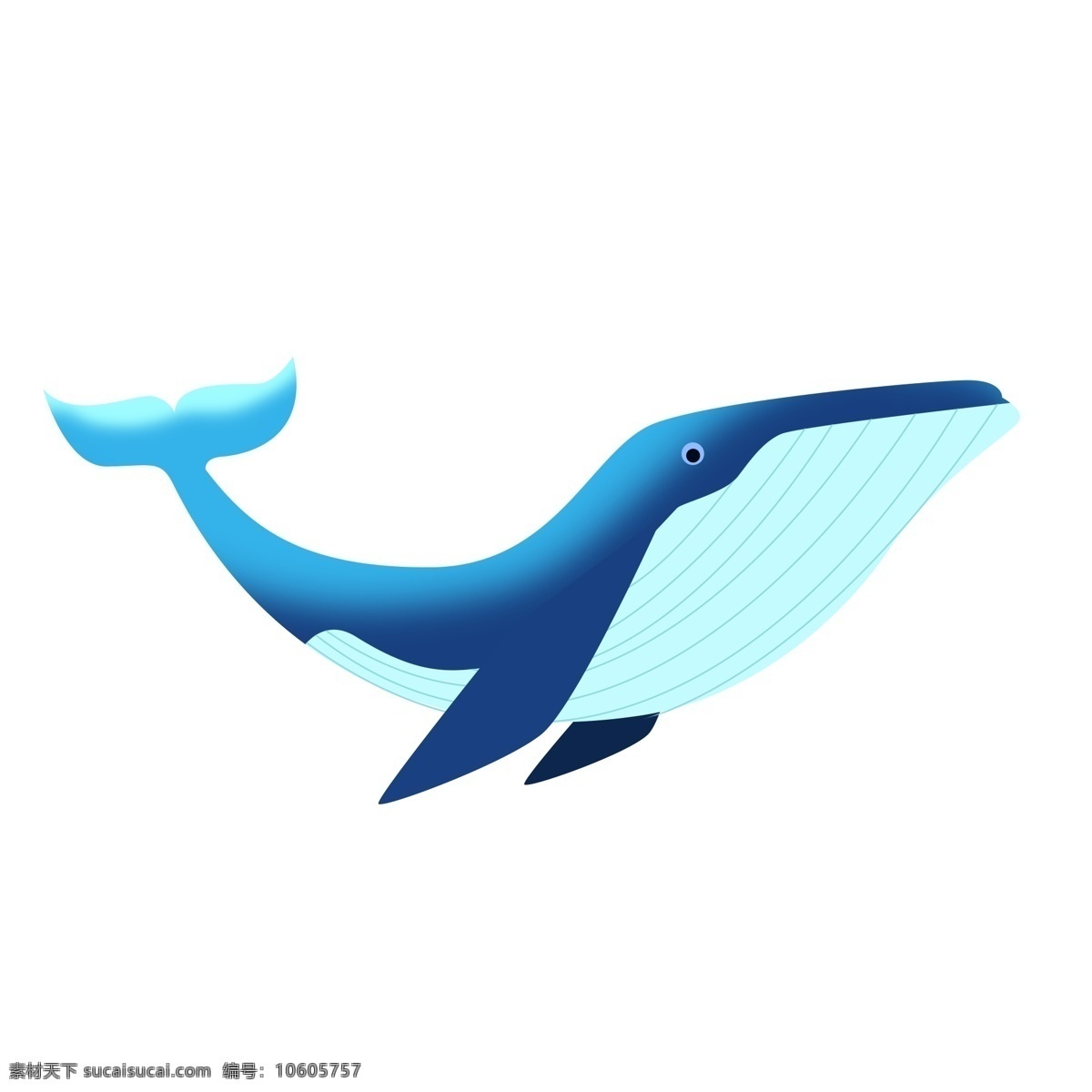 卡通 清新 蓝色 鲸鱼 透明 蓝色鲸鱼 免扣素材 透明素材