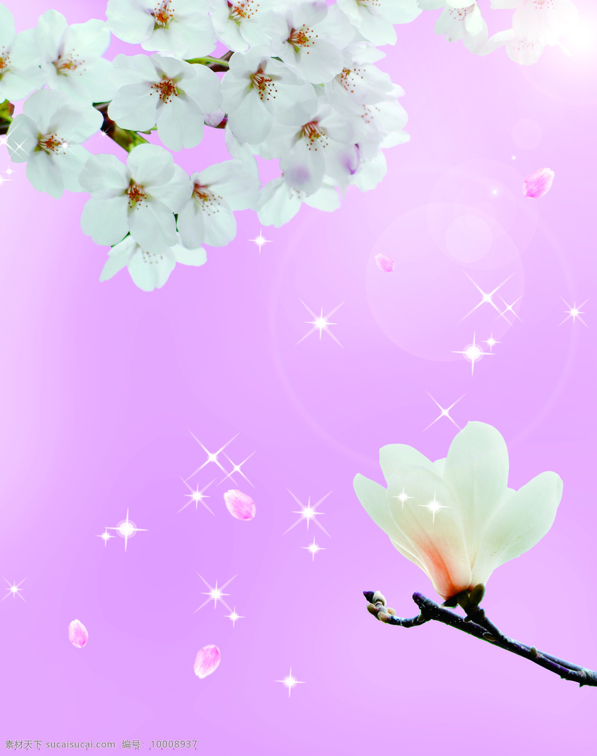 梨花 玉兰花 移门 白花 粉色 粉色背景 花瓣 花朵 树枝 星星点点 阳光 y081 孤单芭蕾 索亚卡18 移门大全18 家居装饰素材