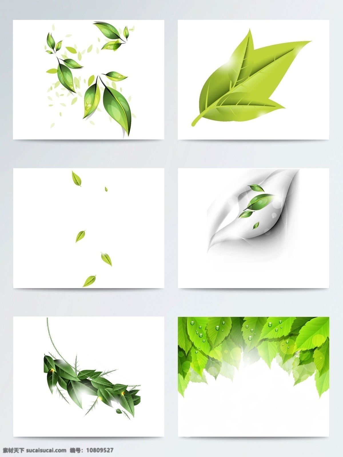 惊蛰 写实 绿叶 矢量 元素 小清新 叶子 简约 创意 草木绿 配图 美观 设计素材