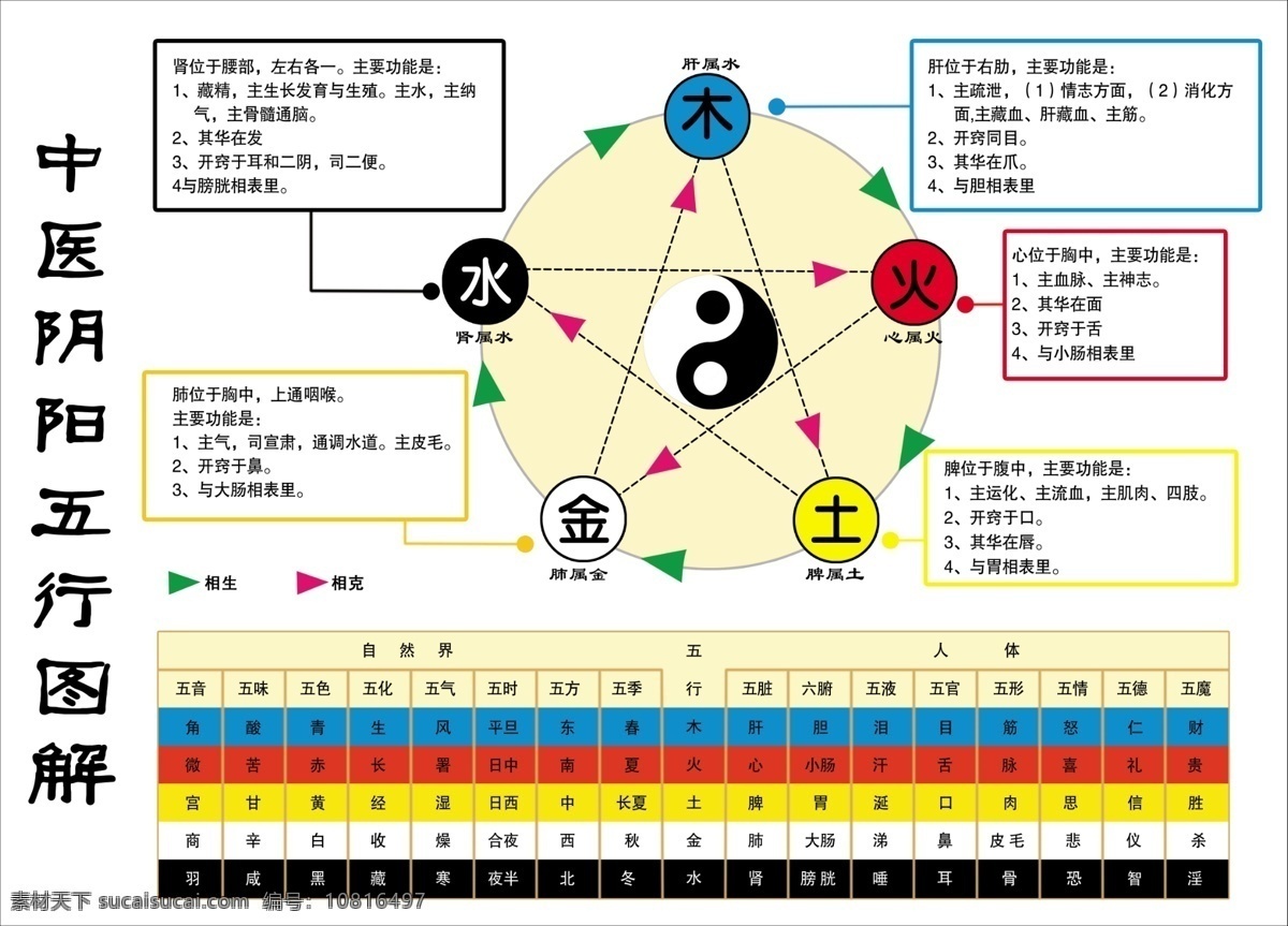 中医 阴阳 五行 图 五行图 分层 源文件