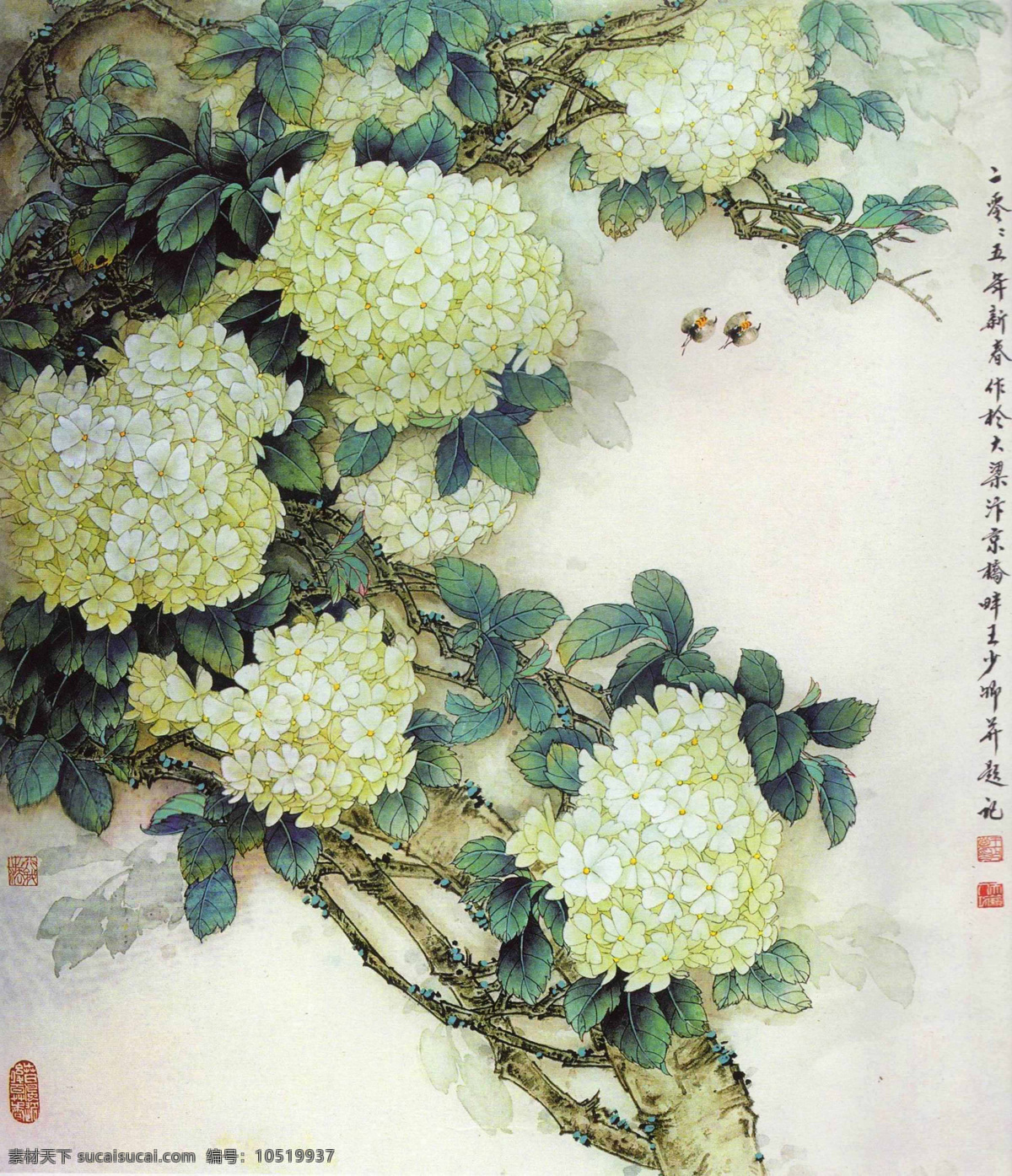 白花 花 蜂 绿叶 国画 工笔 王少卿 绘画 高清 大图 艺术 传统文化 绘画书法 文化艺术