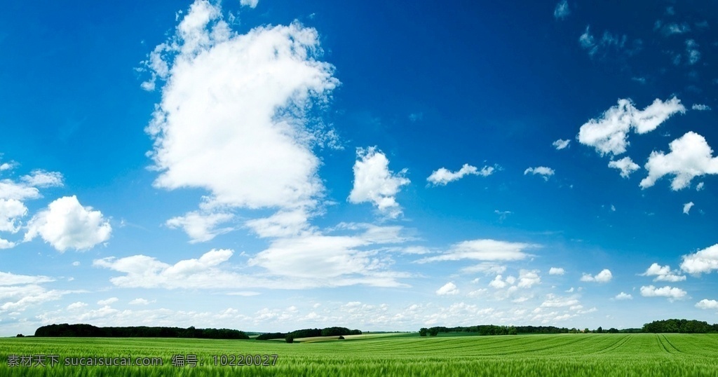 蓝天白云草地 蓝天 白云 草地 草原 内蒙古大草原 云朵 自然景观 山水风景