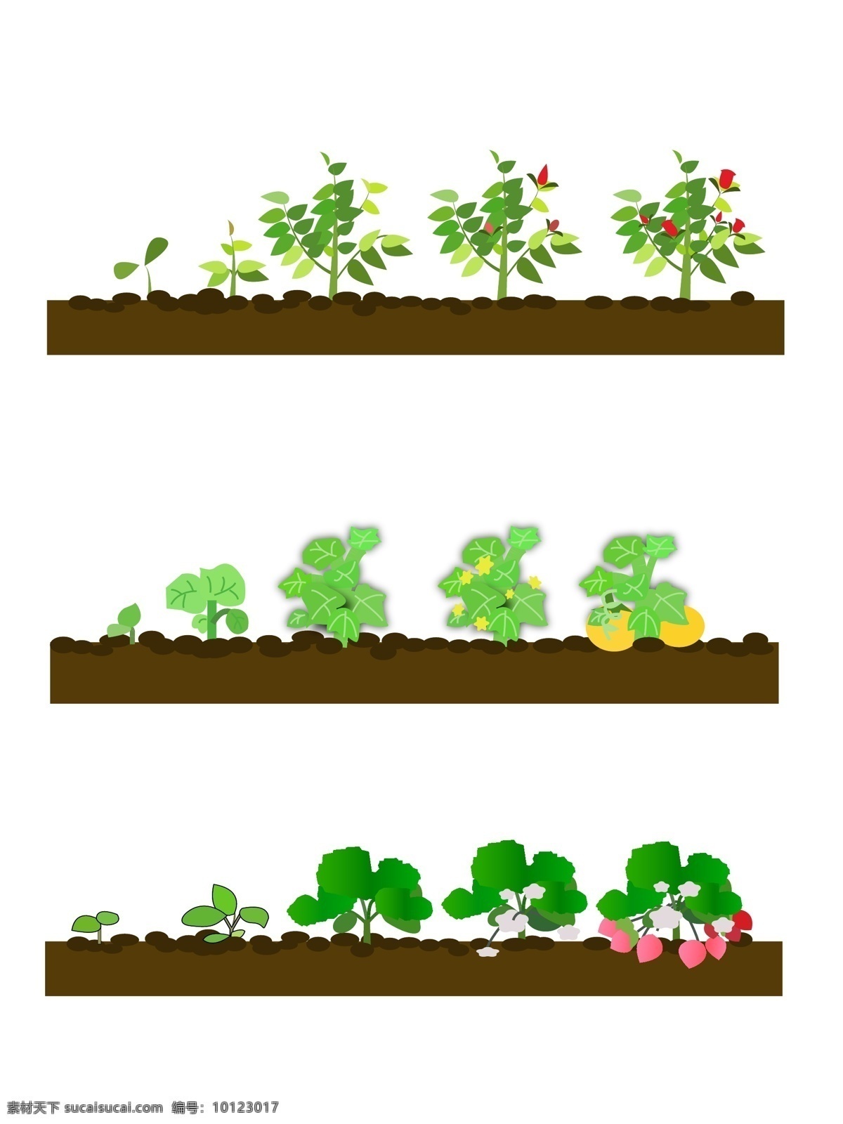 玫瑰 南瓜 草莓 三 种植 物 卡通 生长 过程 套 图 植物 装饰 生长过程
