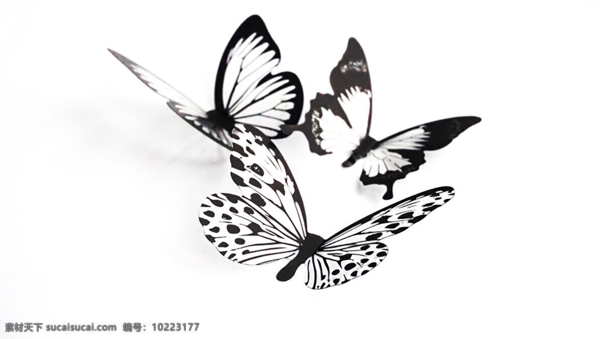 蝴蝶设计素材 蝴蝶 黑白 美图 封面 设计素材