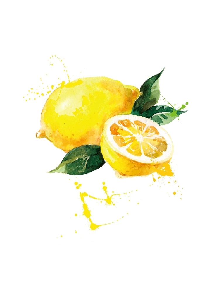 柠檬 水果 水果矢量 水彩画 水果插画 时尚插画 矢量 背景底纹 生物世界