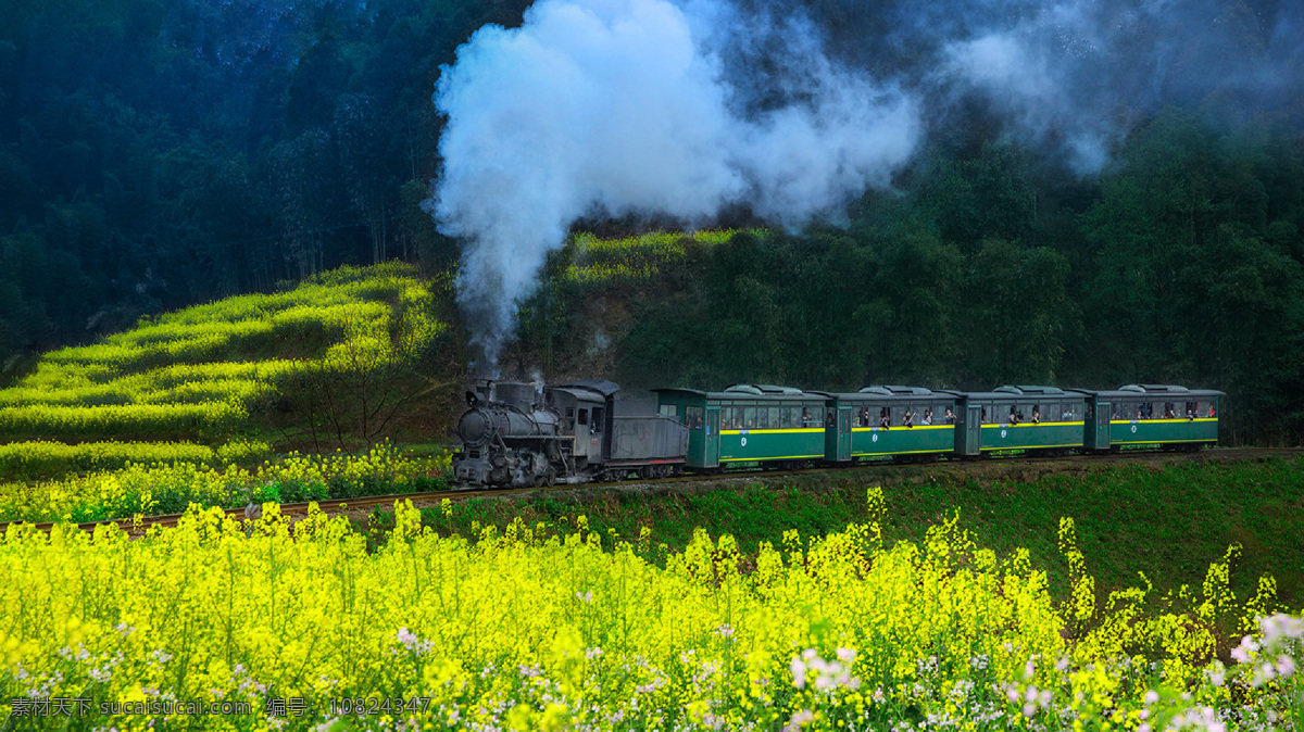 火车和油菜花 火车 绿皮火车 旅行 春天 油菜花 美图 环境 自然 大地 绿色 美丽 图片摄影 旅游摄影 自然风景