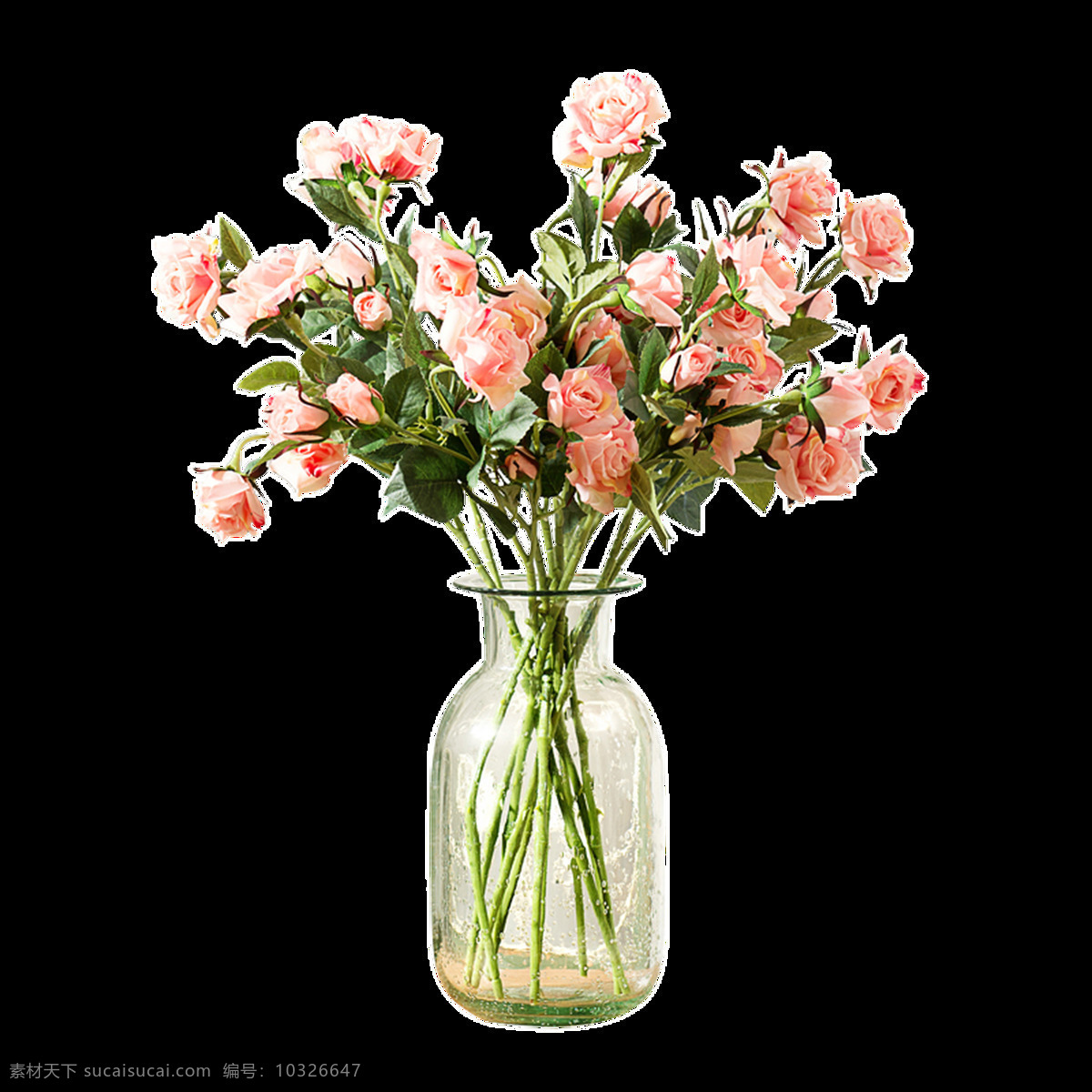 粉色 康乃馨 卡通 透明 花朵 透明素材 免扣素材 装饰图案