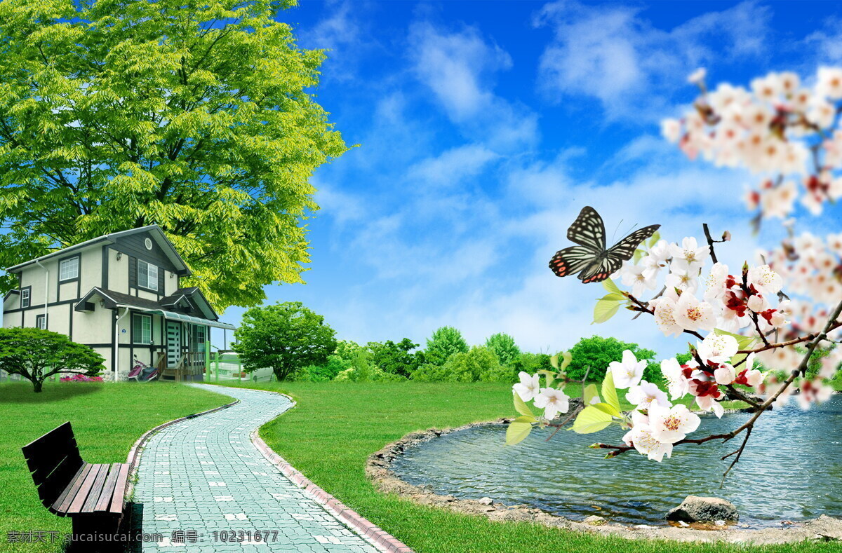 清新 自然 绿色生活 草地 草坪 蓝天 白云 城市 韩式自然背景 阳光绿地 花朵 韩式 高清 自然景观 自然风光