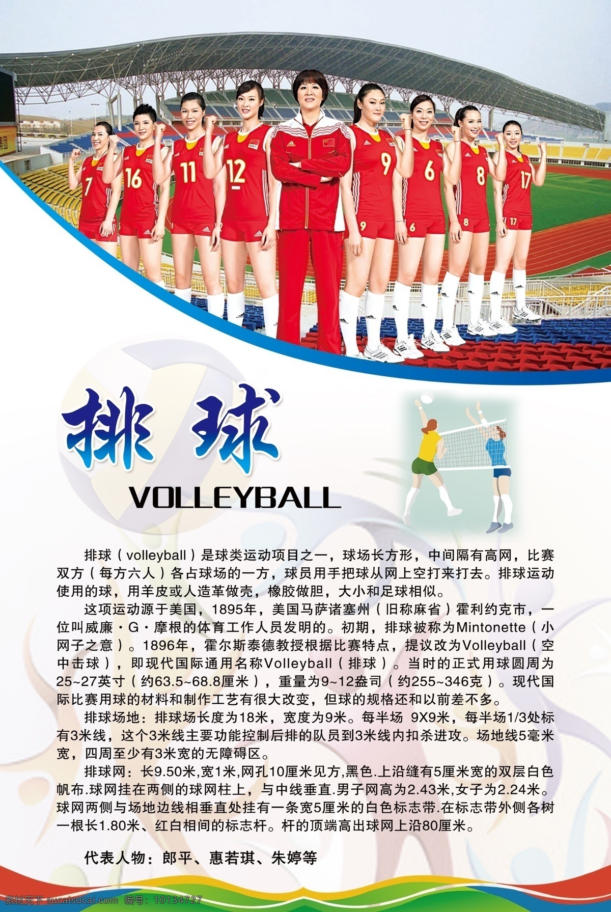 中国运动员 体育明星简介 体育 体育运动 人物简介 体育人物 运动员简介 运动员 简介 校园文化 体育文化 分层
