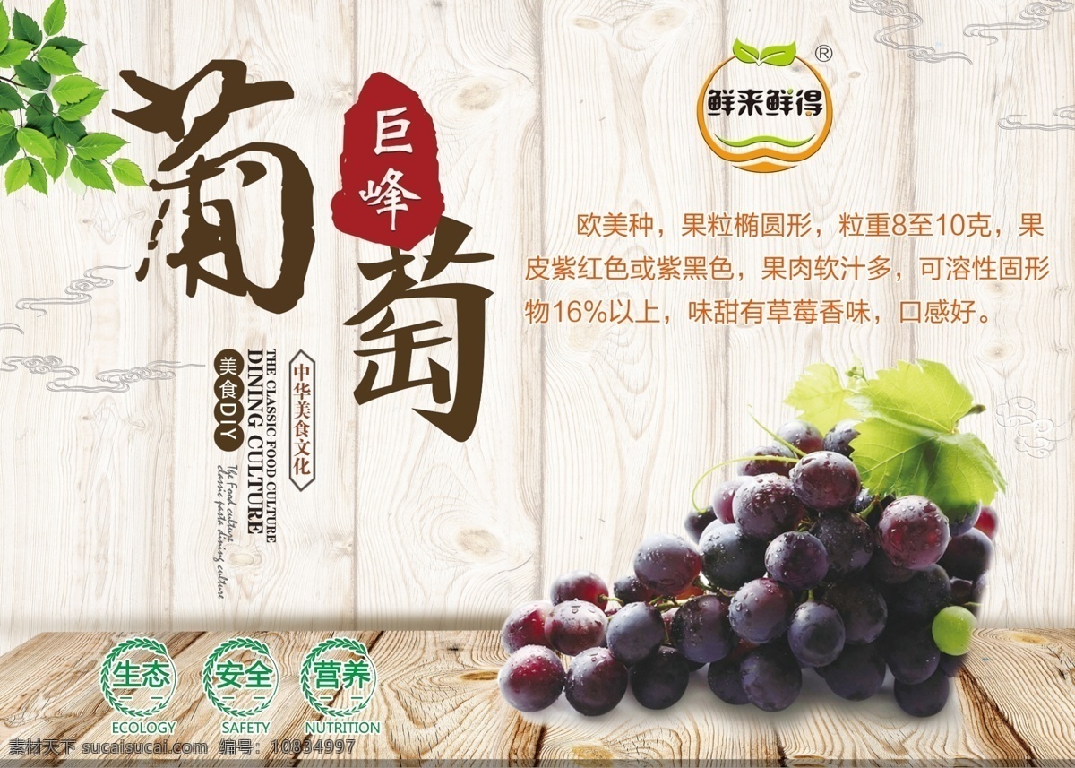 巨峰葡萄 葡萄 巨峰 鲜来鲜得 葡萄展板 葡萄品种 生态 安全 营养 室外广告设计