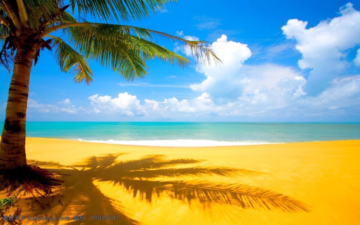 夏日海滩 风景 美景 美丽 自然 壮观 壮美 蓝天白云 沙滩 海边 椰子树 热带美景 度假 梦幻 仙境 人间天堂 美丽自然 自然风景 自然景观